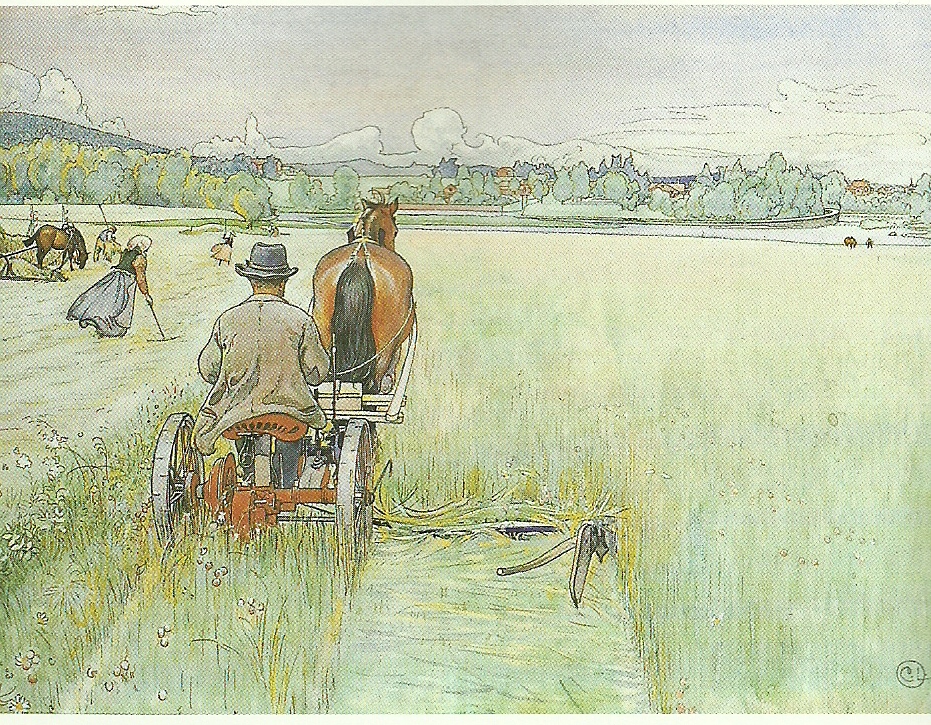 Carl Larsson slattern